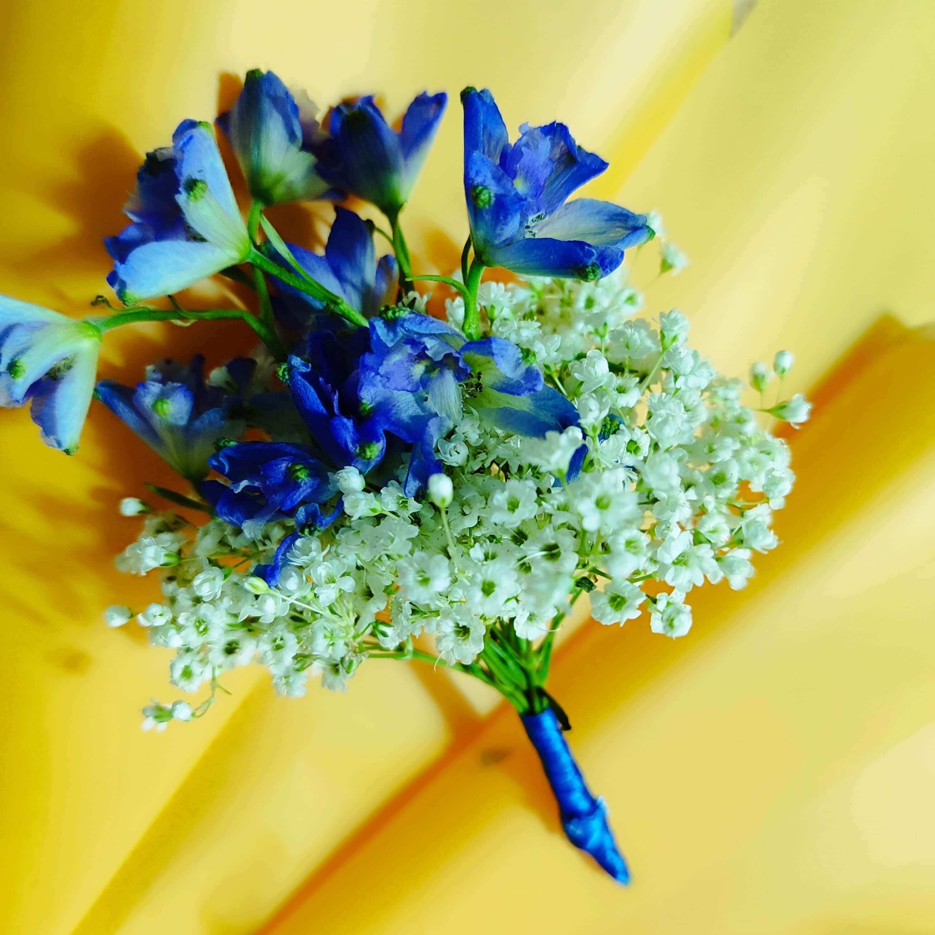 Astromelias premium - Tonos exclusivos